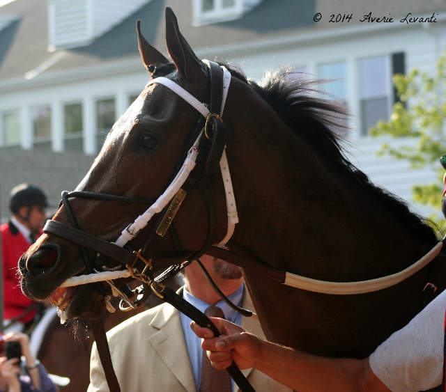 Through The Lens Haskell Day